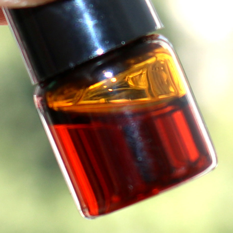 1ml/bottle Authentic Natural C - Sandalwood Perfume Oil review and price