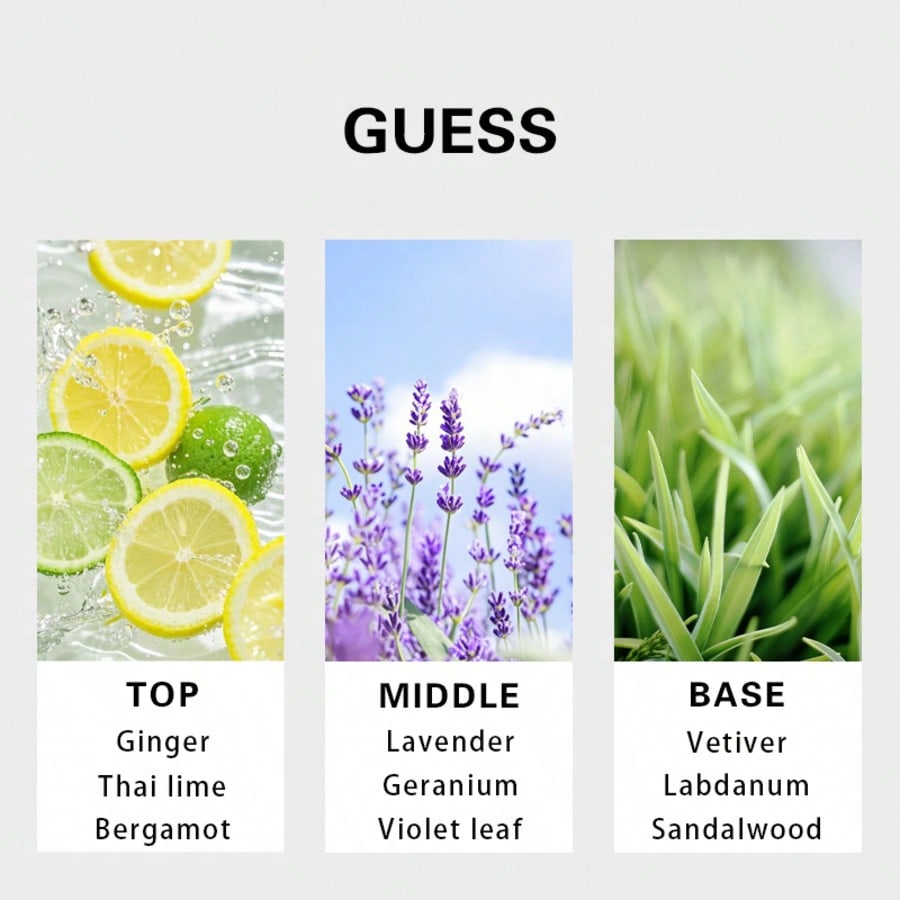 Guess Forever men Eau De Toile - Fragrance Perfume For Man review and price